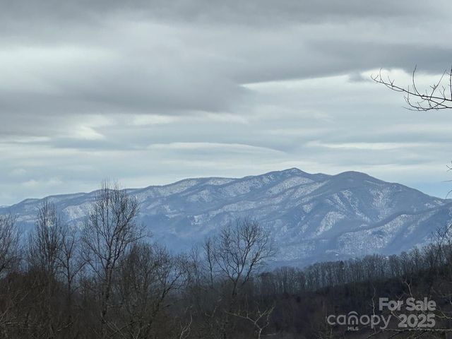 1105 Falls View Drive, Bryson City, NC 28713