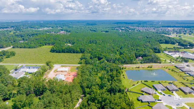 0 Well Road, Daphne, AL 36526