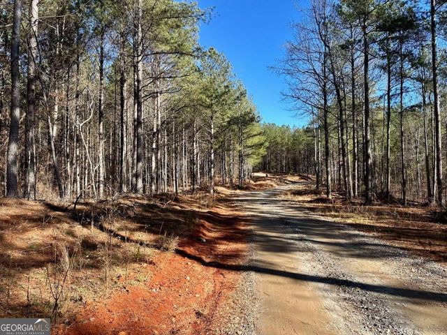 1107 Larmon Forks Road, Dahlonega, GA 30533