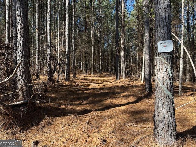1107 Larmon Forks Road, Dahlonega, GA 30533