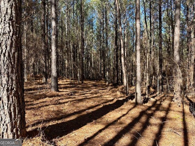 1107 Larmon Forks Road, Dahlonega, GA 30533