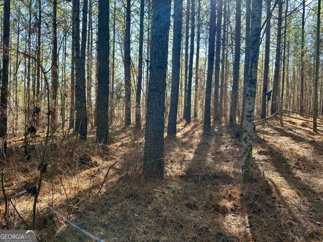 1107 Larmon Forks Road, Dahlonega, GA 30533