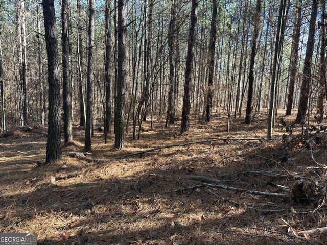 1107 Larmon Forks Road, Dahlonega, GA 30533