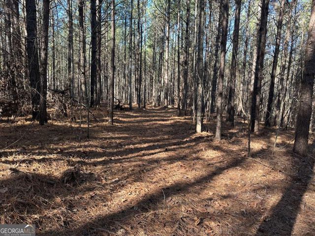 1107 Larmon Forks Road, Dahlonega, GA 30533
