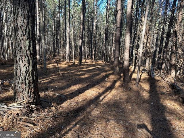 1107 Larmon Forks Road, Dahlonega, GA 30533