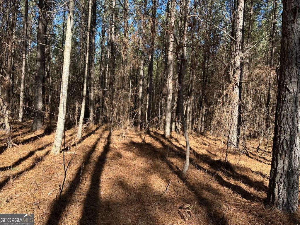 1107 Larmon Forks Road, Dahlonega, GA 30533