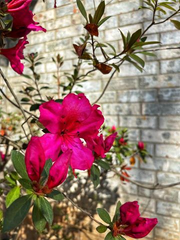 1470 Fm 2712, Crockett, TX 75835