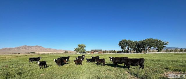 250 Olson Ranch Road, Wellington, NV 89430