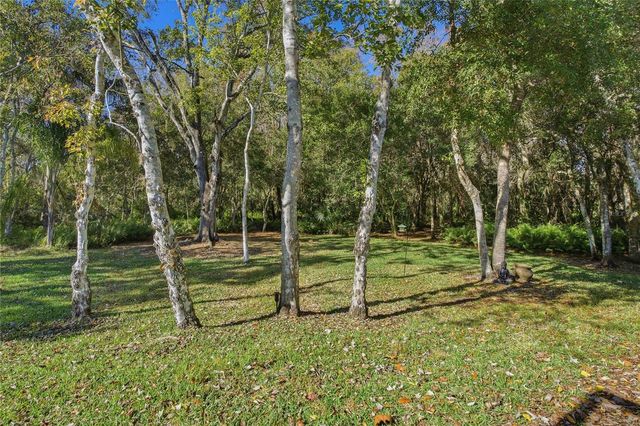 1320 LINDENWOOD DRIVE, Tarpon Springs, FL 34688