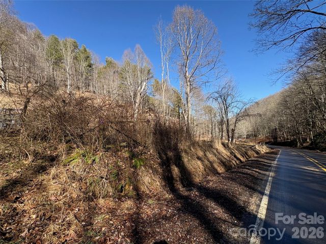 9999 Bee Log Road, Burnsville, NC 28714