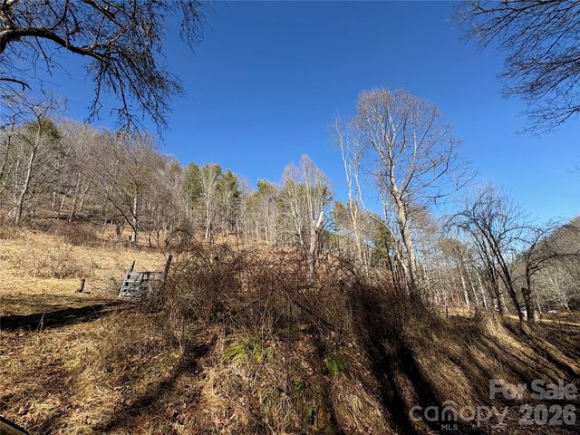 9999 Bee Log Road, Burnsville, NC 28714