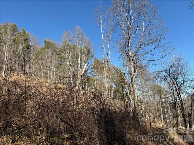 9999 Bee Log Road, Burnsville, NC 28714