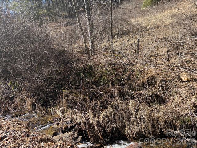 9999 Bee Log Road, Burnsville, NC 28714