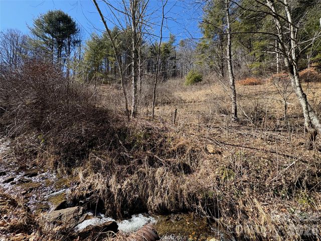 9999 Bee Log Road, Burnsville, NC 28714