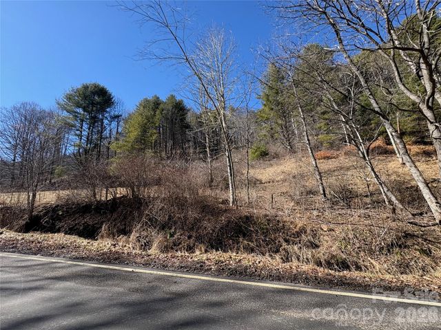 9999 Bee Log Road, Burnsville, NC 28714