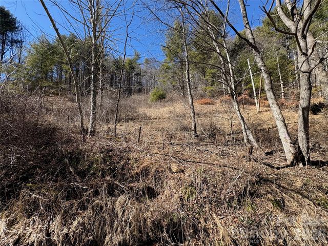 9999 Bee Log Road, Burnsville, NC 28714