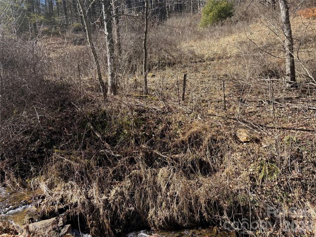 9999 Bee Log Road, Burnsville, NC 28714