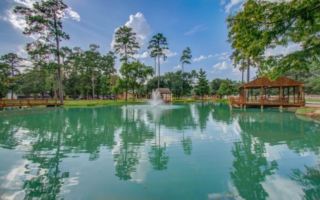 22927 Northoak Forest Lane, Spring, TX 77389