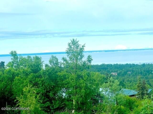 12515 Rya Road, Anchorage, AK 99516