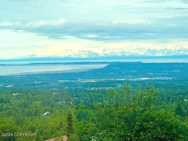 12515 Rya Road, Anchorage, AK 99516