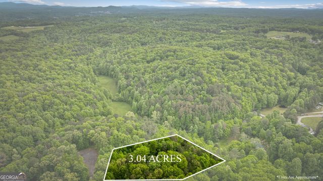 60 Weeks Lane, Ellijay, GA 30540