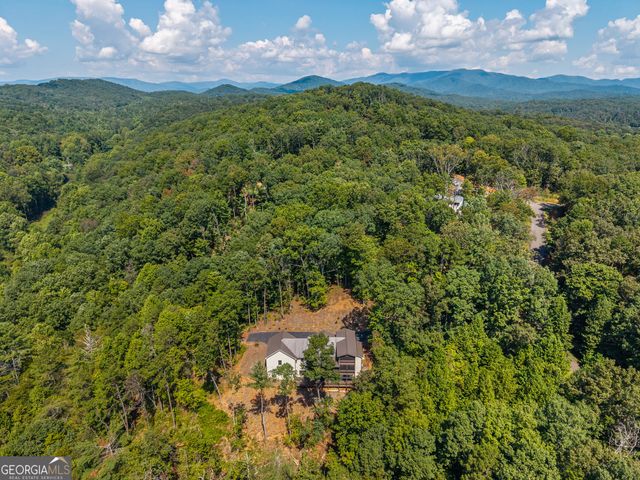 60 Weeks Lane, Ellijay, GA 30540