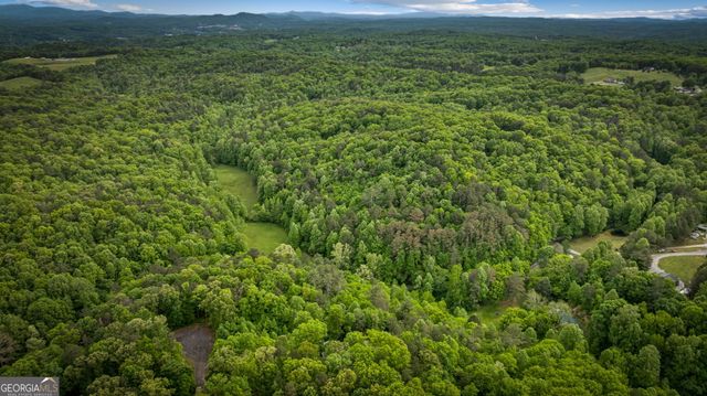 60 Weeks Lane, Ellijay, GA 30540