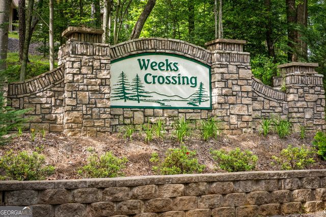 60 Weeks Lane, Ellijay, GA 30540