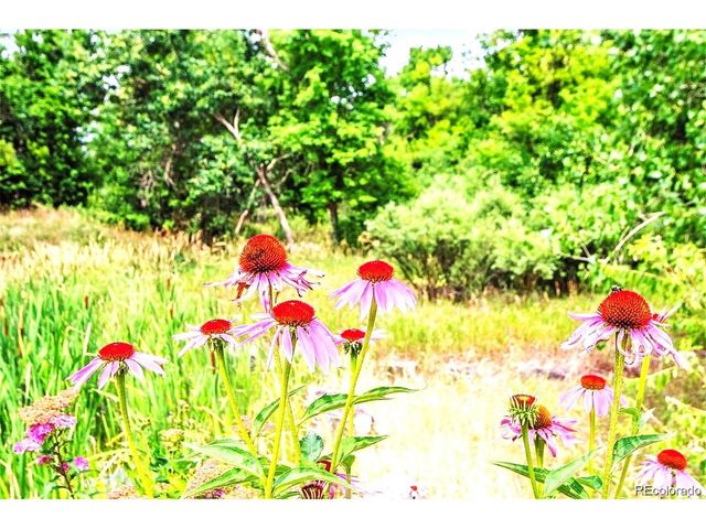 10457 W Hampden Ave 203, Lakewood, CO 80227