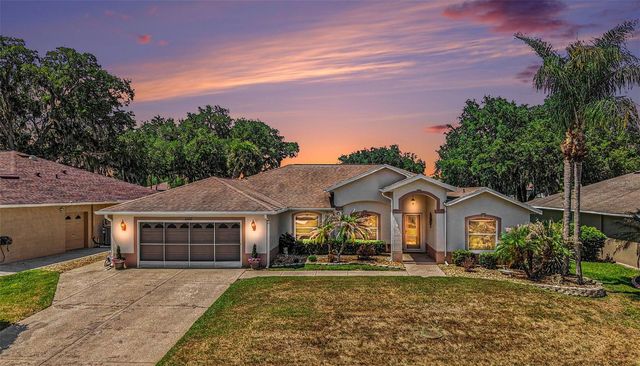 11132 MOSHIE LANE, San Antonio, FL 33576