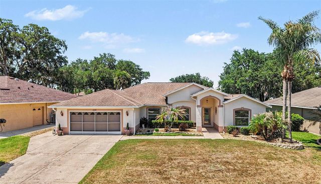 11132 MOSHIE LANE, San Antonio, FL 33576