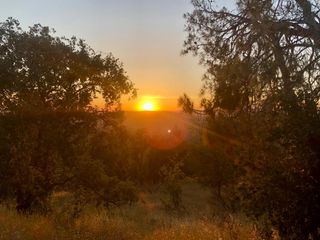 40 City View, Coarsegold, CA 93614