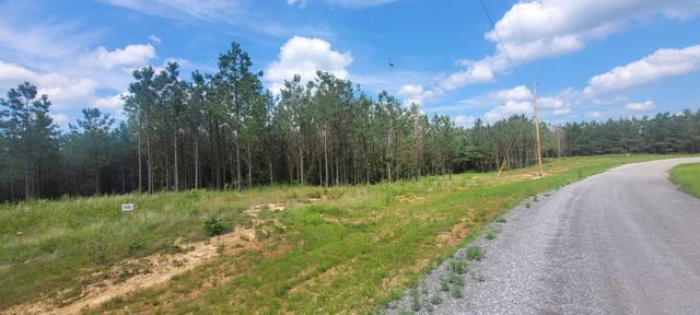 96 Evergreen Dr, Dover, TN 37058