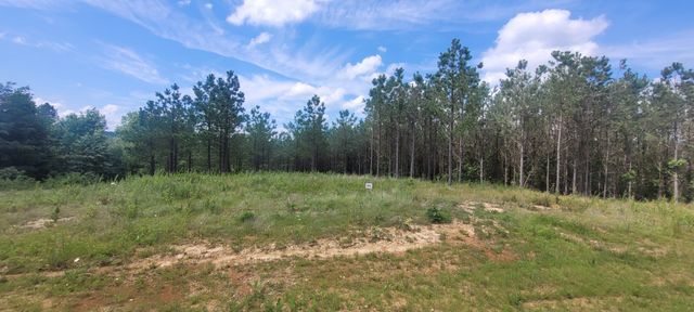 96 Evergreen Dr, Dover, TN 37058
