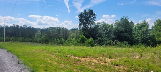 96 Evergreen Dr, Dover, TN 37058