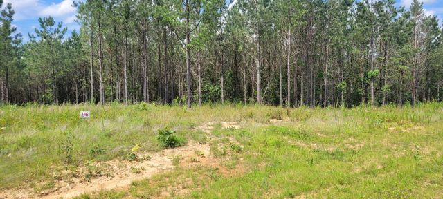 96 Evergreen Dr, Dover, TN 37058