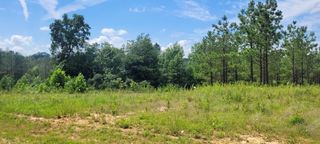96 Evergreen Dr, Dover, TN 37058
