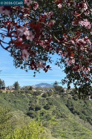 2886 Saklan Indian Dr, Walnut Creek, CA 94595