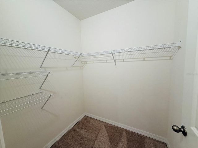 2868 SUNCOAST BLEND DRIVE, Odessa, FL 33556