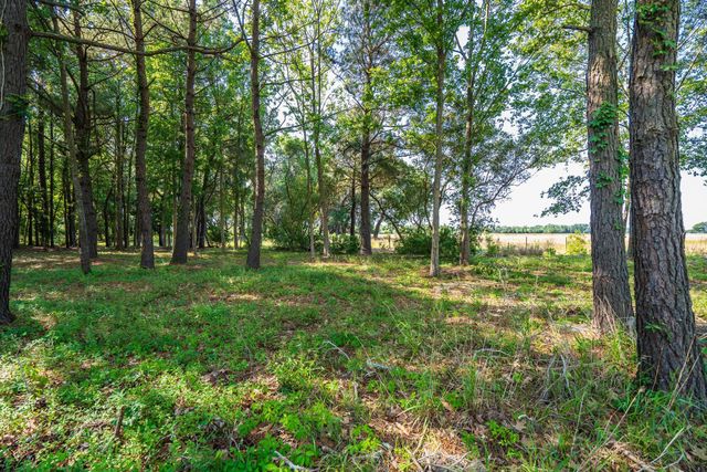 2986 Anchor Watch Drive, Wadmalaw Island, SC 29487