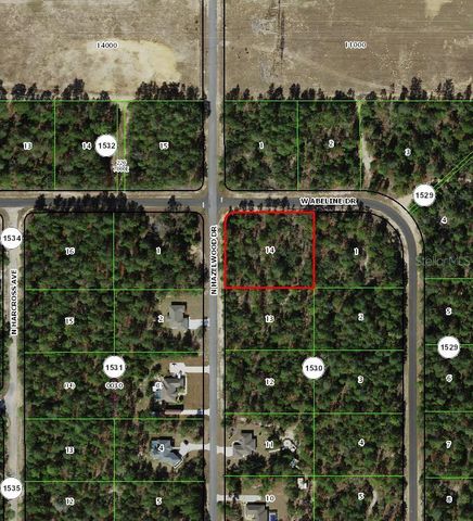 6777 N HAZELWOOD DRIVE, Citrus Springs, FL 34433