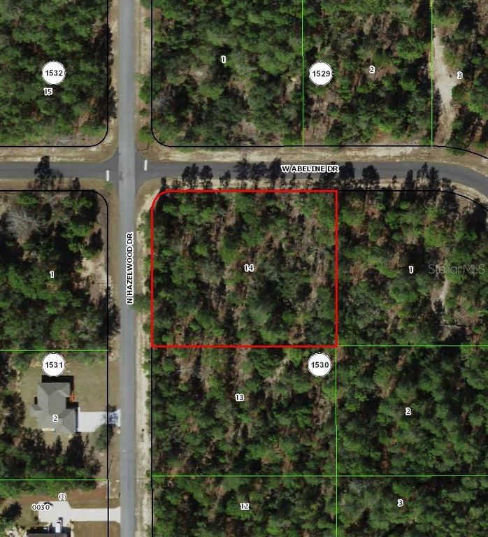 6777 N HAZELWOOD DRIVE, Citrus Springs, FL 34433