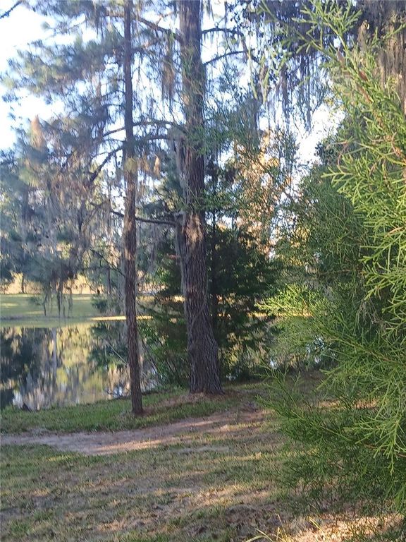 Image 13 of property listing at 10360 W COUNTY ROAD 18, Lake Butler, FL 32054