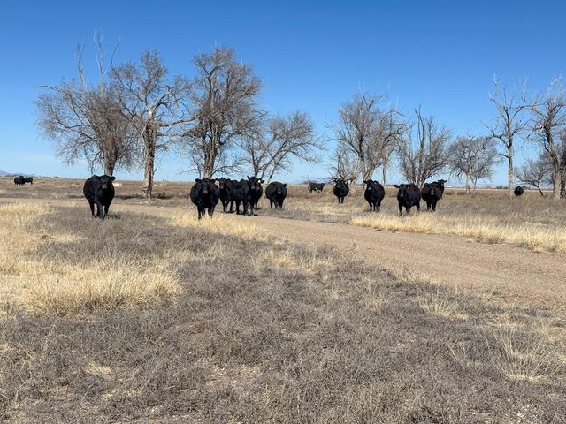 TBD W Alan Ayers Avenue, Estancia, NM 87016