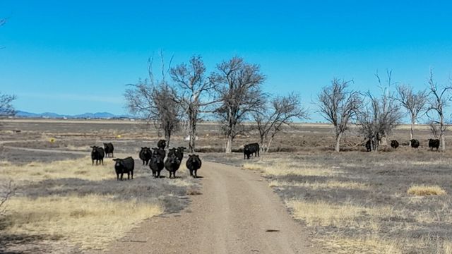 TBD W Alan Ayers Avenue, Estancia, NM 87016