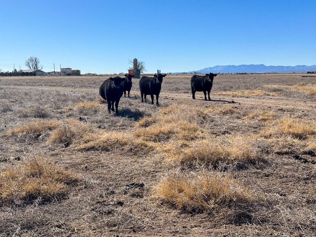 TBD W Alan Ayers Avenue, Estancia, NM 87016