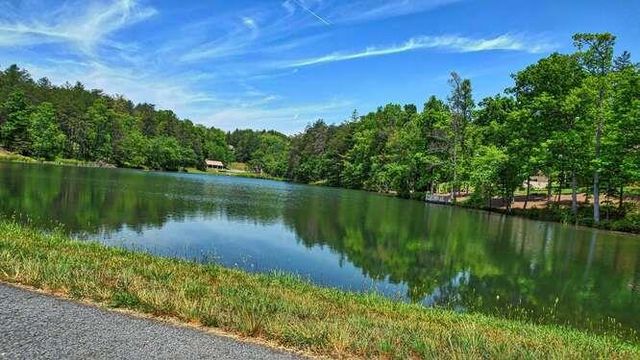 46 Fox Cove, Blairsville, GA 30512