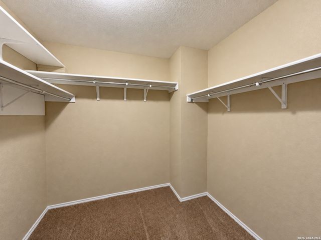 10802 Denae Drive, Live Oak, TX 78233