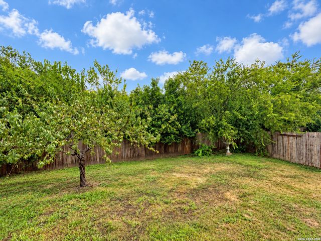 10802 Denae Drive, Live Oak, TX 78233