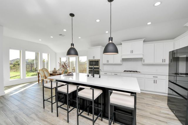 24919 Hibiscus Garden Way, Katy, TX 77493